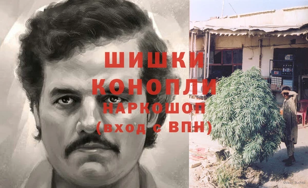 spice Алзамай