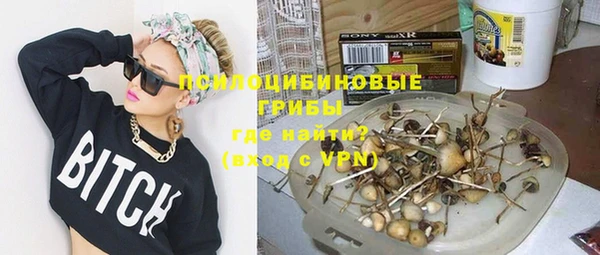 твердый Алексин