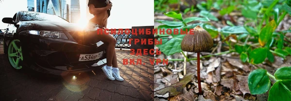 2c-b Зеленокумск