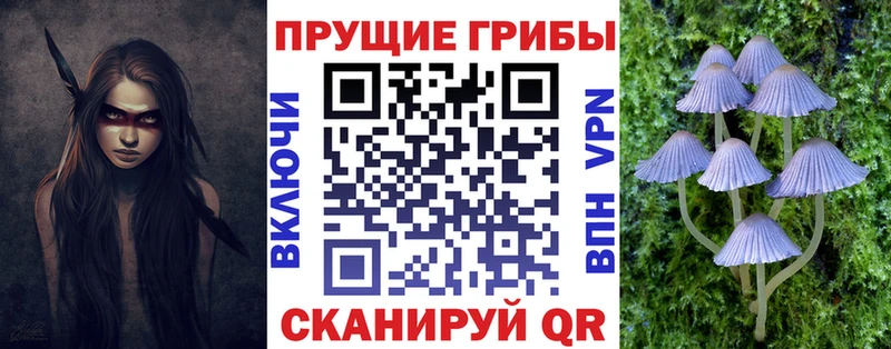 Галлюциногенные грибы Magic Shrooms  где купить наркоту  Жуковка 